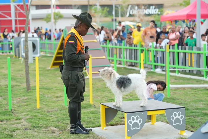 Cartagena inaugura parque gratuito para mascotas con yoga, agility y atención veterinaria