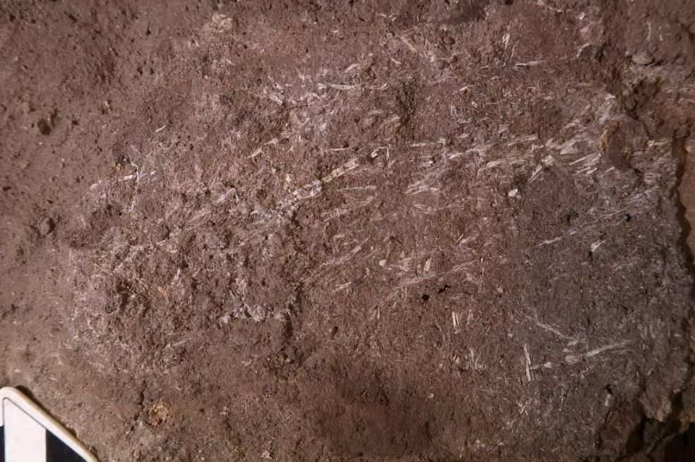 Los humanos usaban camas de hierba hace 200 mil años