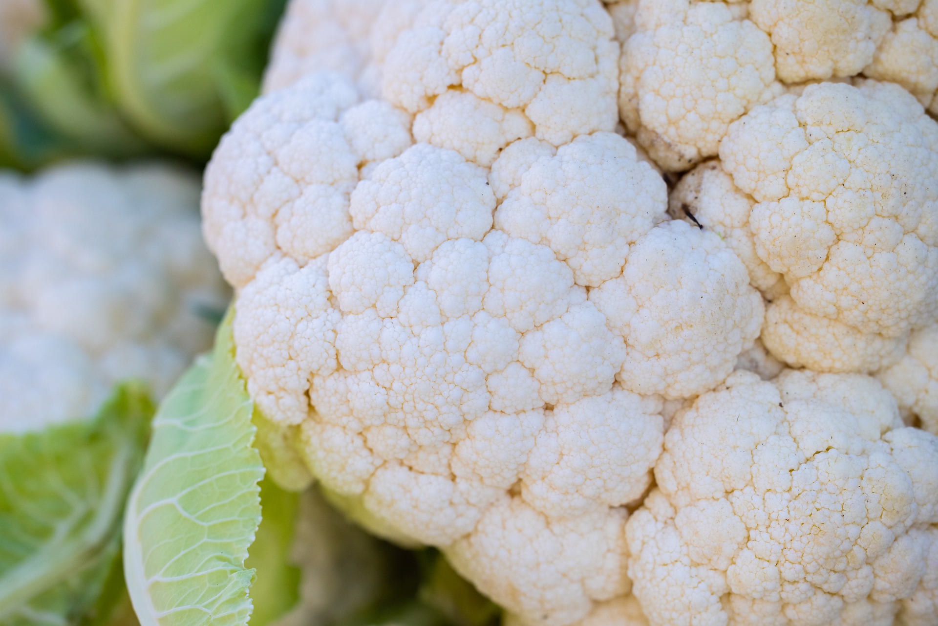 Receta con coliflor: prepara un plato exquisito con esta verdura