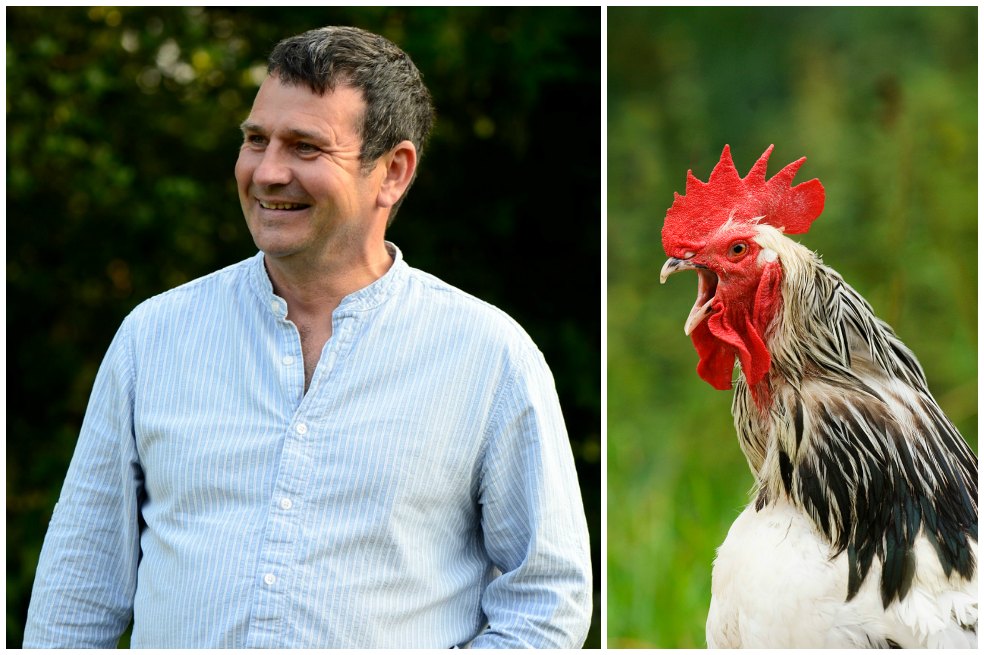 Un inglés obsesionado con las aves