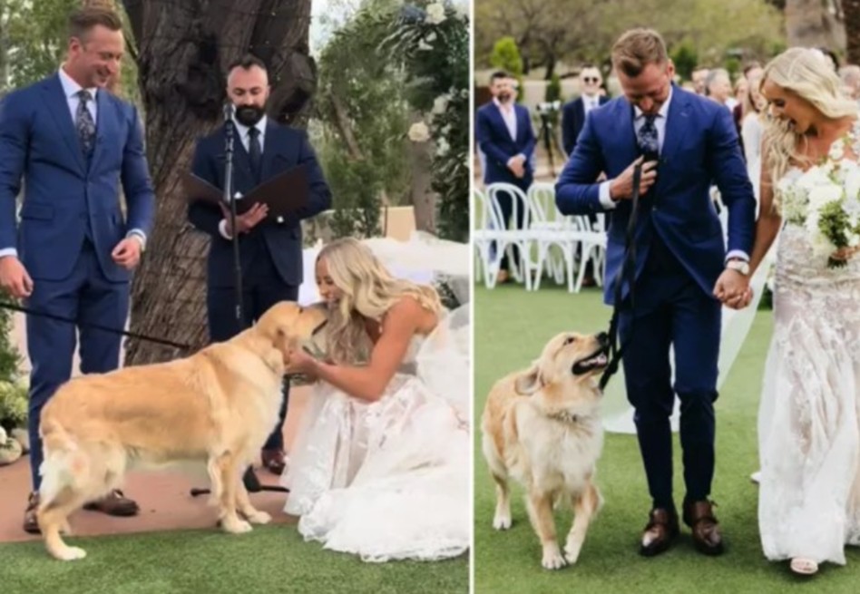 Momento inolvidable: novio sorprende a su esposa al incluir a su perro en la boda