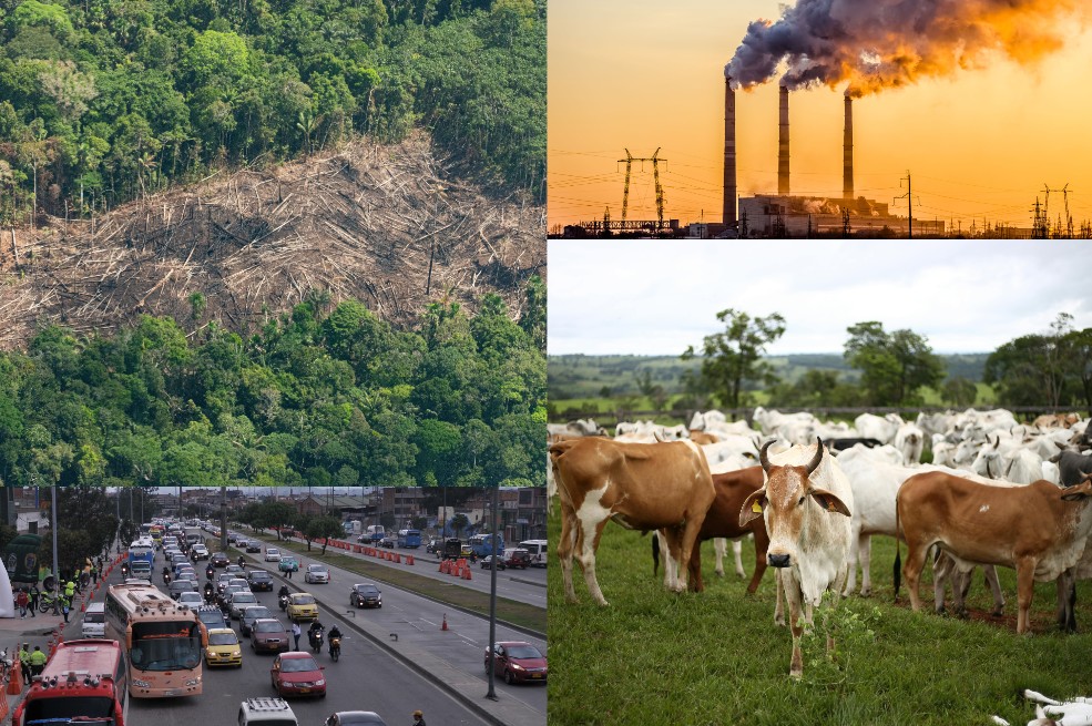 Deforestación, uso de combustibles, transporte y ganado bovino están entre las actividades que más gases de efecto invernadero generan.