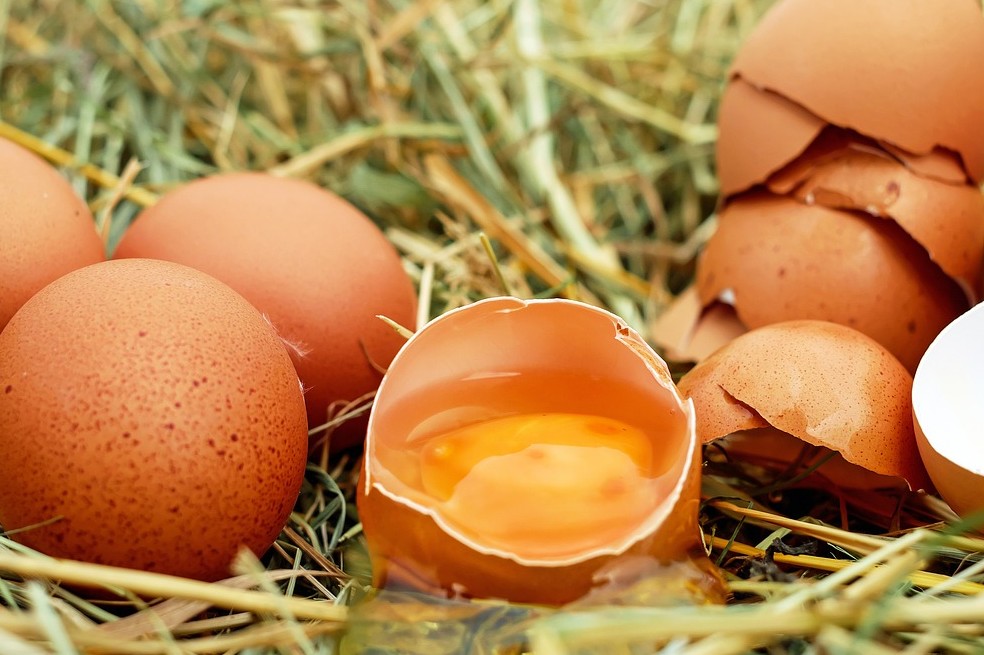 Un nutricionista nos cuenta los secretos de este increíble alimento.