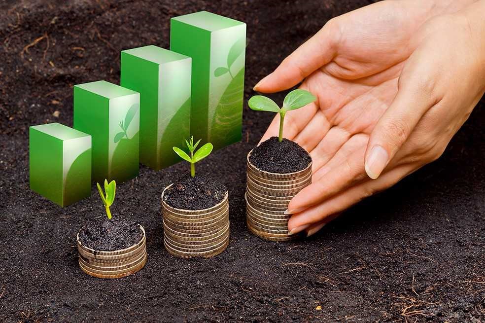 ¿Cuáles son las ventajas del mercado colombiano? Cuatro empresas mexicanas hablan