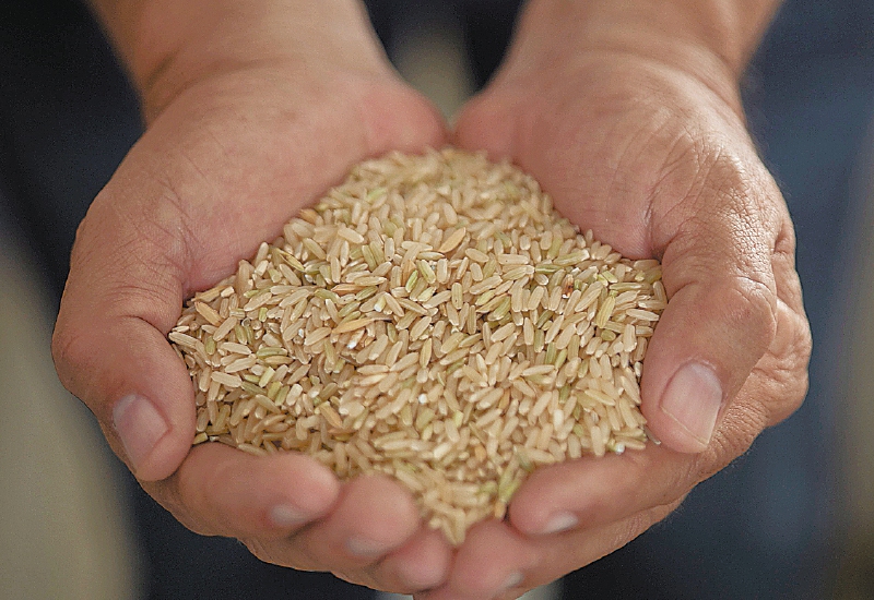 Cocina sin gluten: 4 recetas aptas para celíacos llenas de sabor