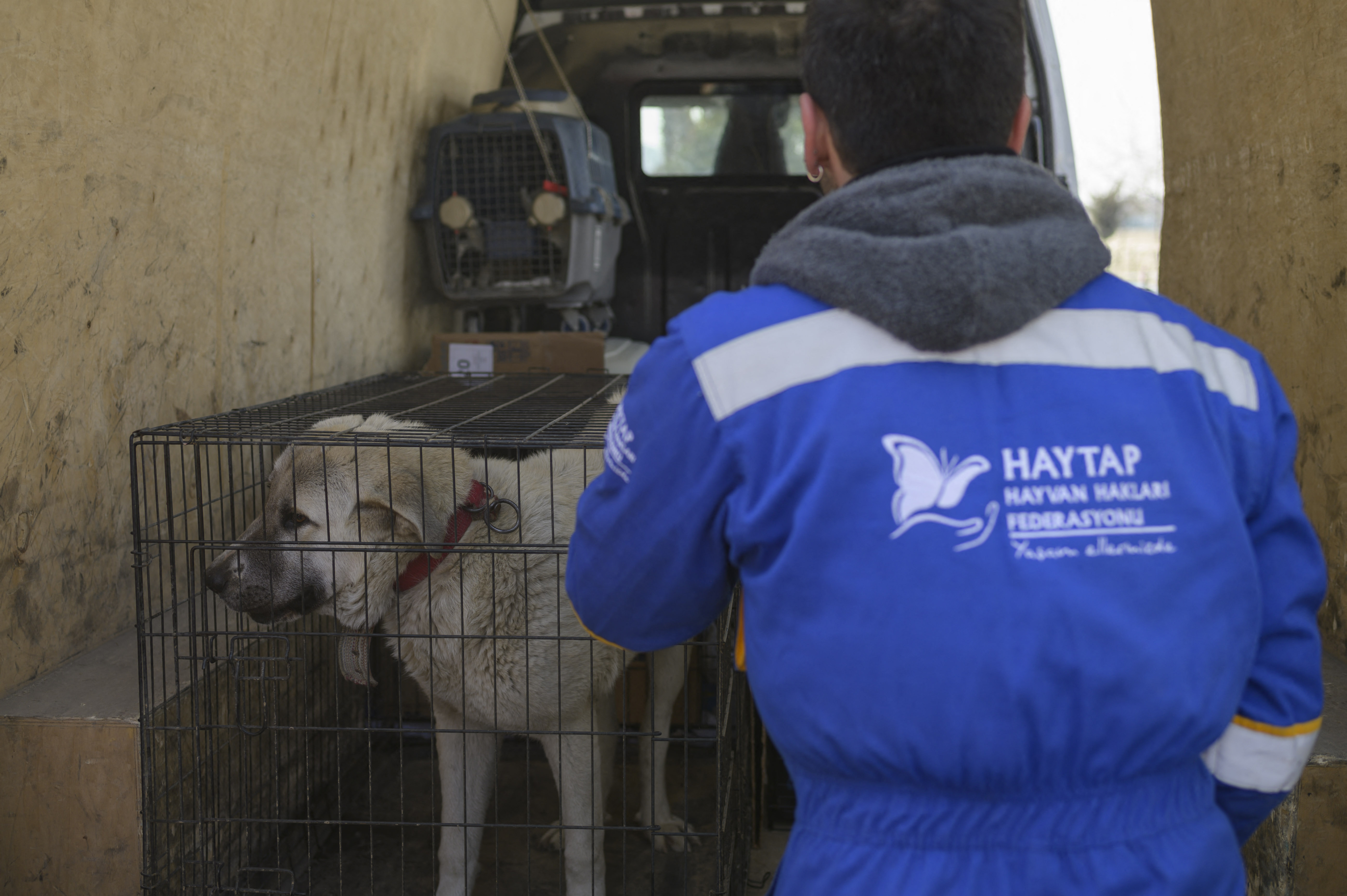Desde que el sismo de magnitud 7,8 sacudió la región el pasado 6 de febrero, dejando más de 45.000 muertos en Turquía y Siria, cientos de gatos, perros, conejos y pájaros siguen atrapados bajo los escombros que dejó el devastador terremoto.