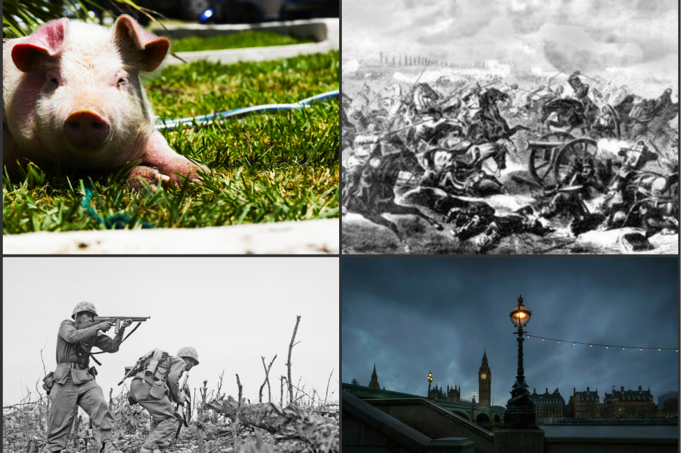 Las 5 guerras más tontas del mundo
