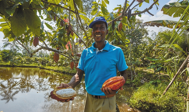 Las biofábricas con las que se enfrentan los altos precios de los fertilizantes en Colombia