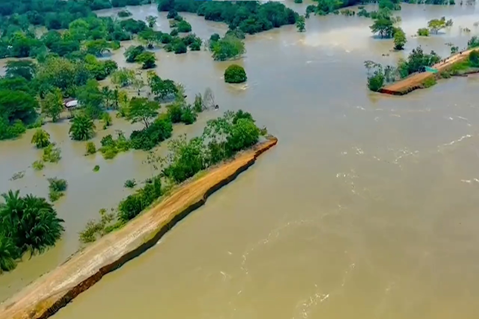 En los municipios sucreños de Caimito, San Marcos, San Benito, Sucre, Guaranda y Majagual se han afectado 11.425 hectáreas con cultivos de arroz, plátano, maíz, yuca, patilla y pastos, además de unos 11.500 de animales, en su mayoría reses.