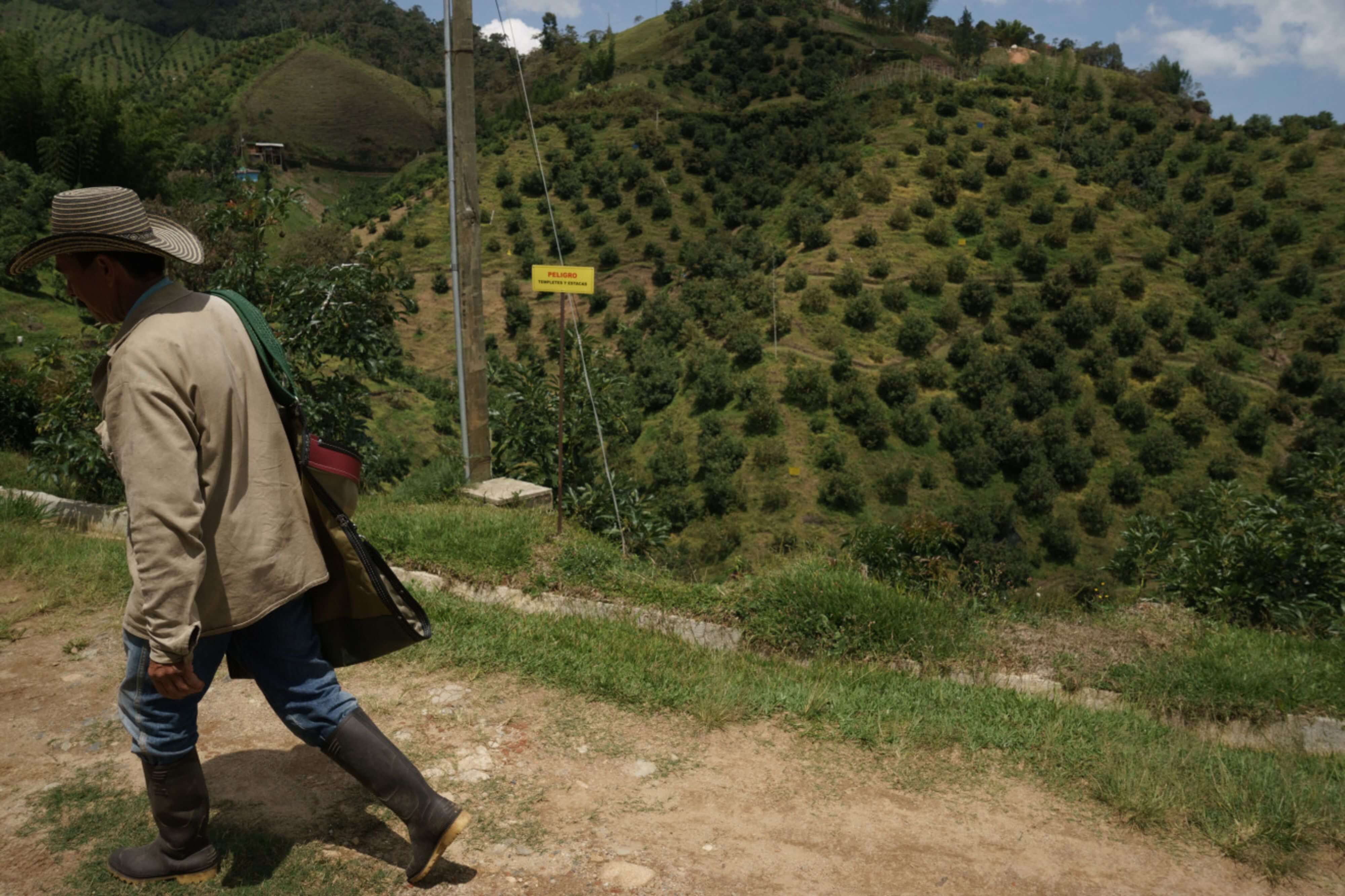 Cuatro estrategias para la agenda rural: un Estado para producir y conservar