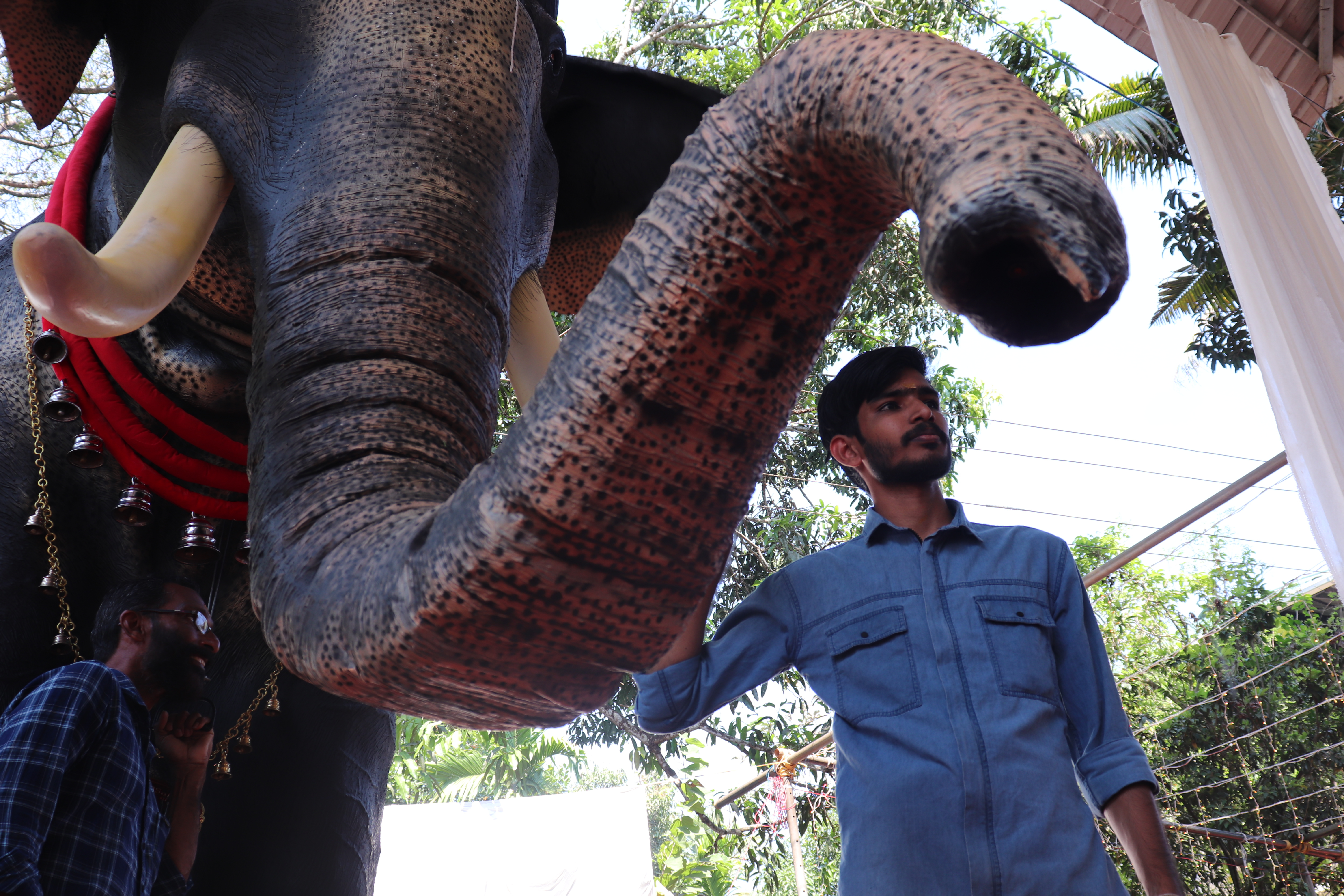 NUEVA DELHI, 04/03/2023.- Un templo hindú en el sur de la India ha reemplazado al elefante de carne de hueso por uno mecánico para llevar a cabo sus ceremonias, en un intento por luchar contra el maltrato y la caza furtiva de este animal, considerado sagrado por el hinduismo. La novedosa iniciativa, llevada a cabo en un templo hindú del estado sureño de Kerala, nació de una donación promovida por la organización en favor de los derechos de los animales People for the Ethical Treatment of Animals (PETA) que promueve una intensa campaña en el país para proteger a los paquidermos. EFE/PETA/Juhi Bhatt *****SOLO USO EDITORIAL/SOLO DISPONIBLE PARA ILUSTRAR LA NOTICIA QUE ACOMPAÑA (CRÉDITO OBLIGATORIO) *****