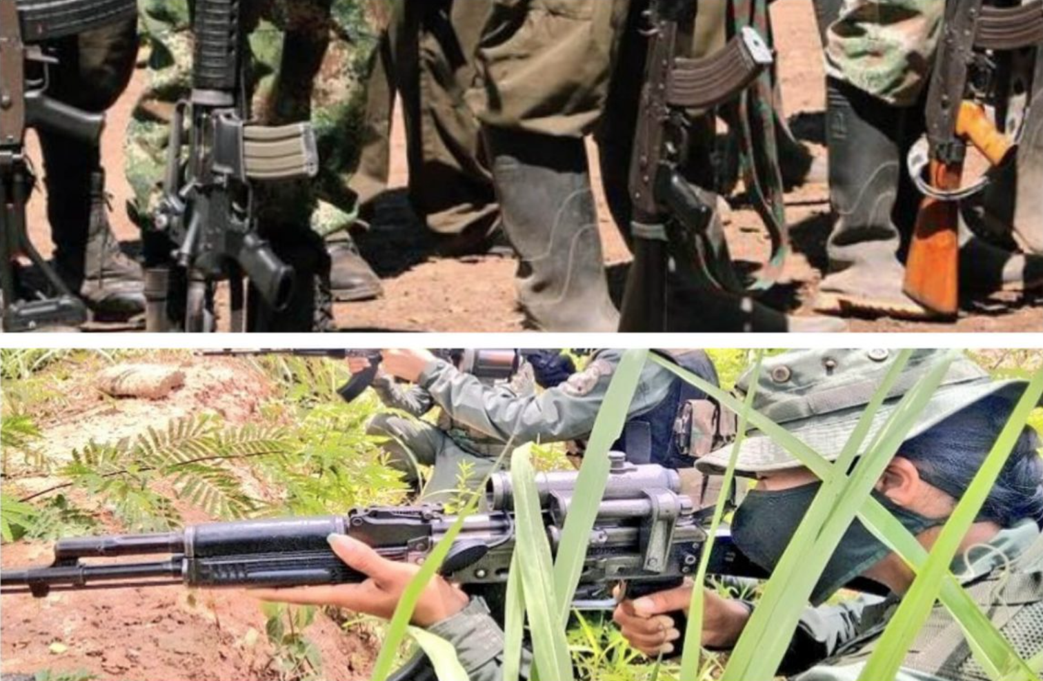 Análisis: la guerra en Apure entre las Farc y Venezuela