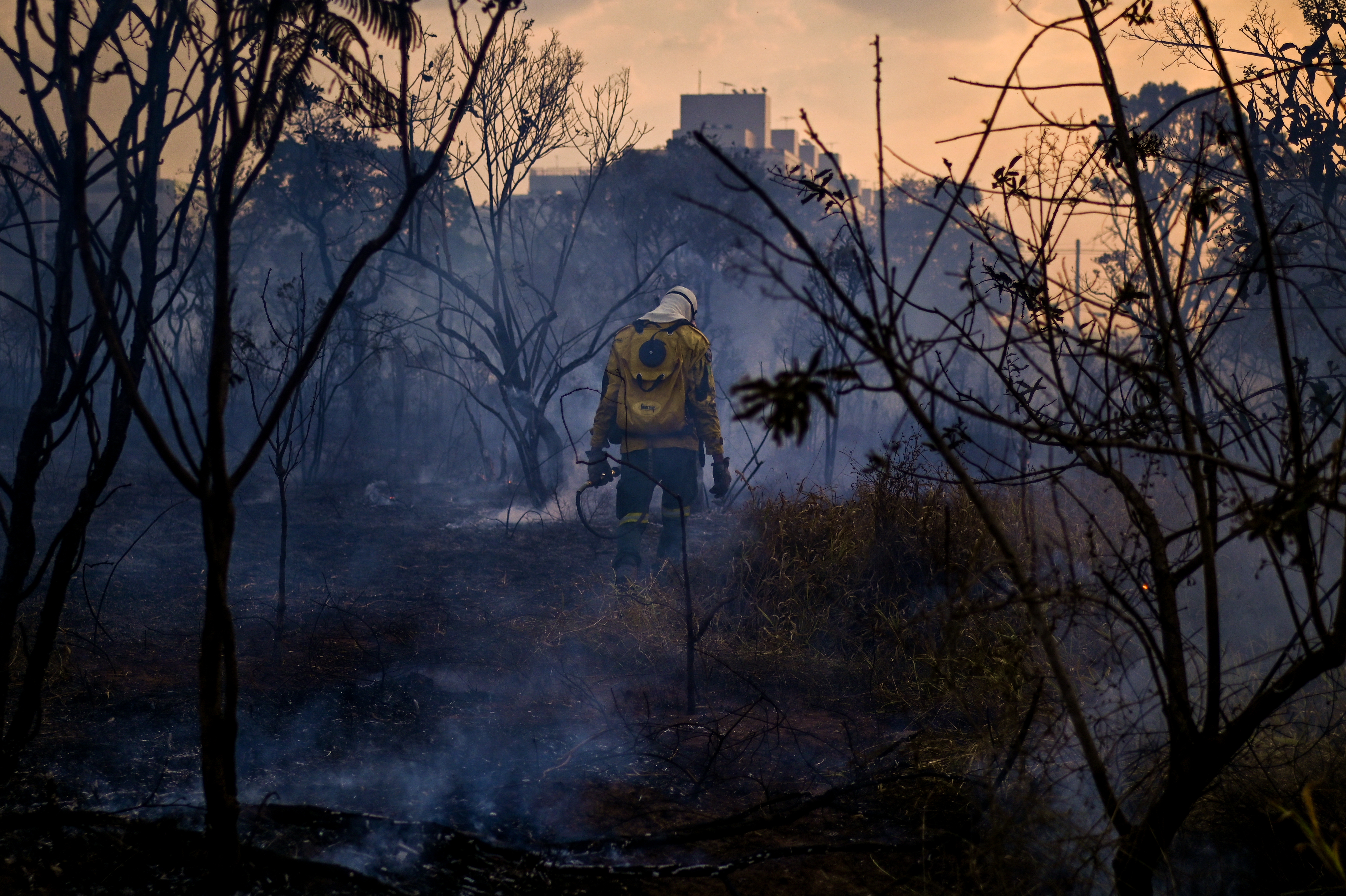El ministerio de Ambiente de Brasil aseguró que, en lo corrido de 2024, los incendios forestales han quemado más de 18.000 kilómetros cuadrados en el Pantanal.