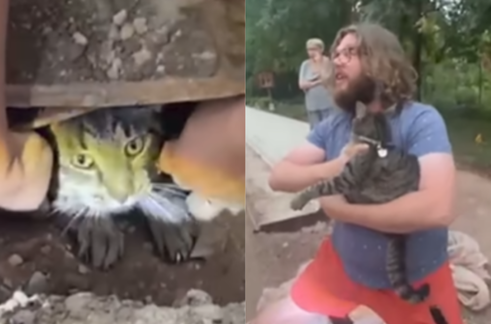 (Video) Rescatan a gatito que estuvo dos meses en una alcantarilla