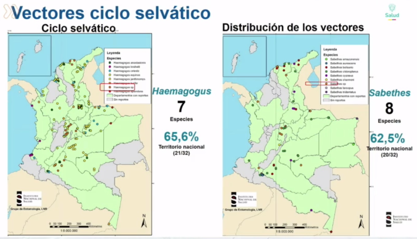 Distribución de los vectores que transmiten la fiebre amarilla.