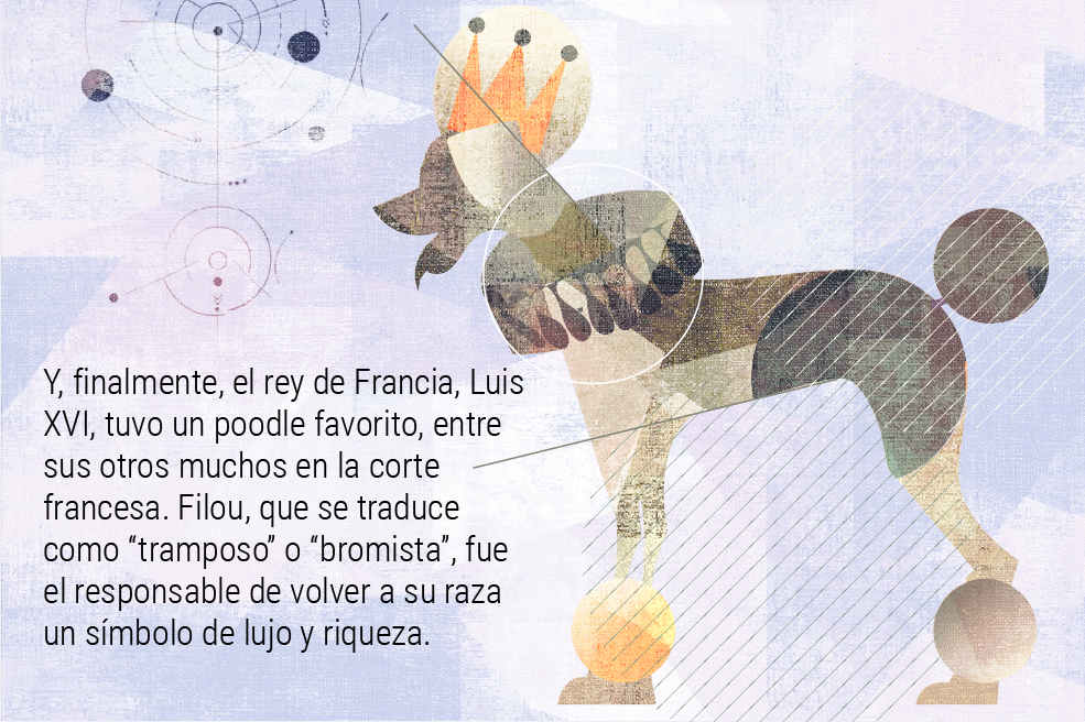 El mundo no es como lo pintan: las mascotas del poder, y el lado débil de autócratas y dictadores
