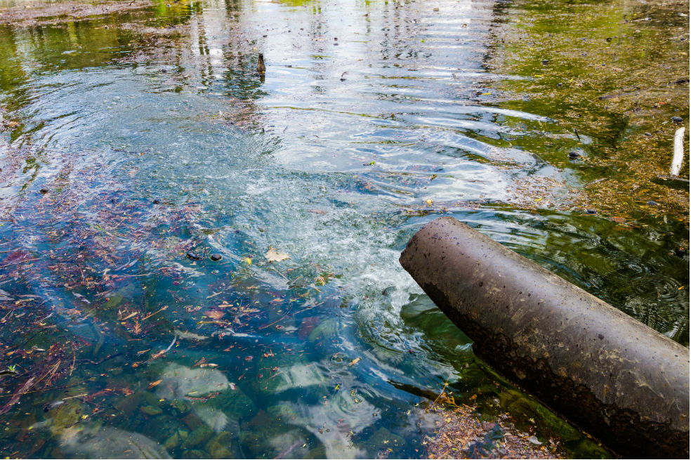 Cuatro ideas (que sí funcionan) para descontaminar el agua