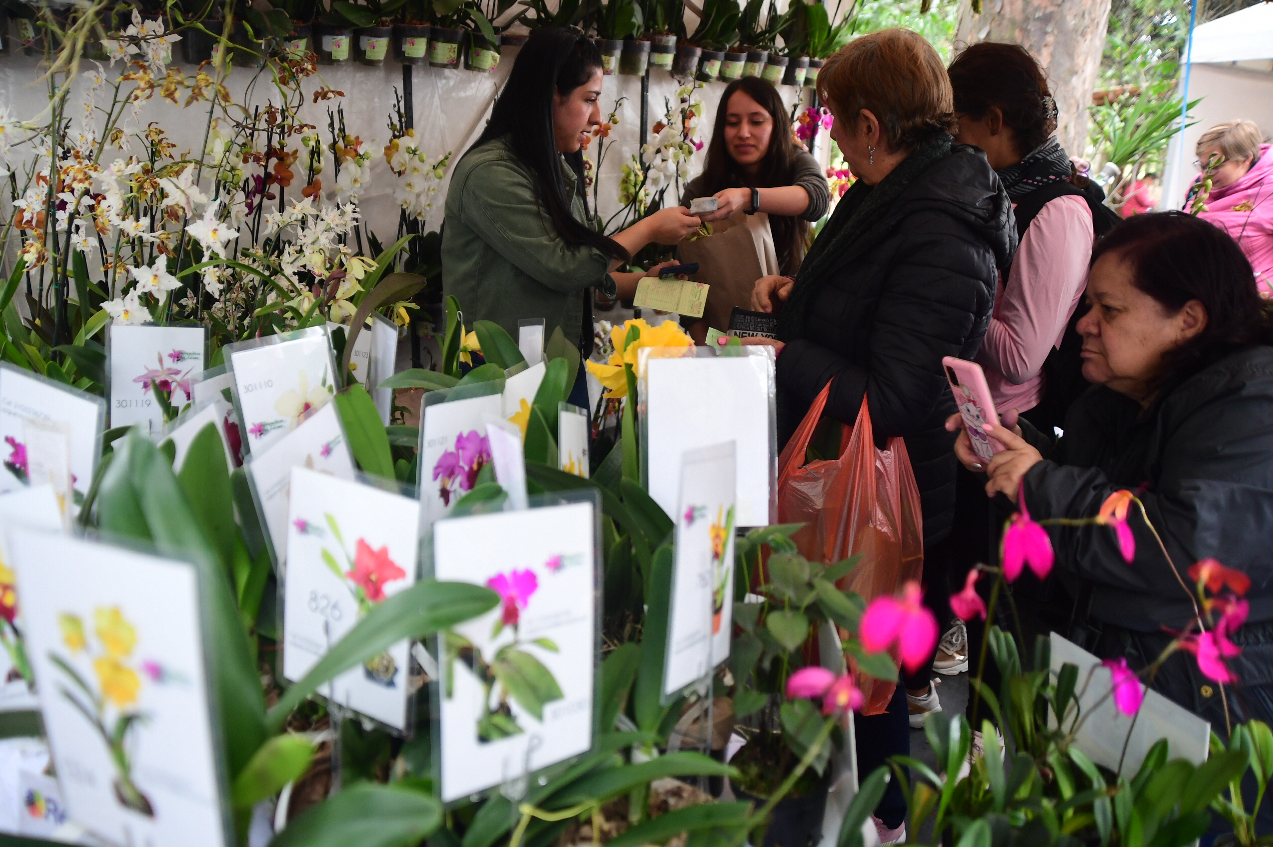 En fotos: Exposición nacional de orquídeas en Bogotá, así puede asistir