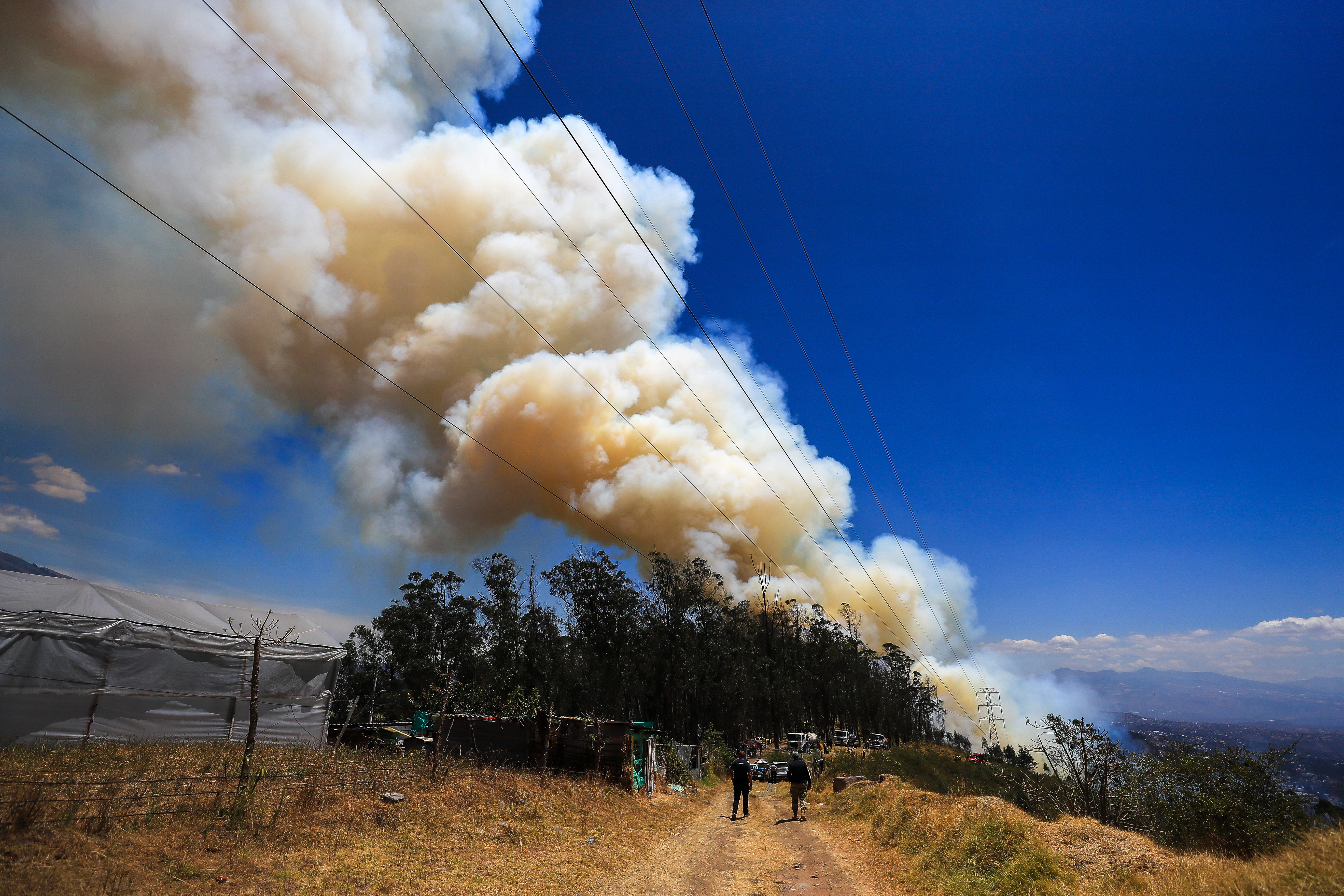 A causa de los incendios, el presidente Daniel Noboa canceló su agenda en Nueva York, donde se desarrollaba la Asamblea de la ONU, y regresó a Ecuador.