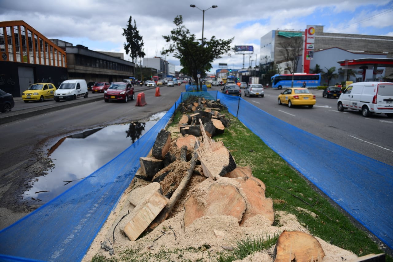 Lo que todos debemos saber sobre el componente ambiental y paisajístico del proyecto Avenida 68