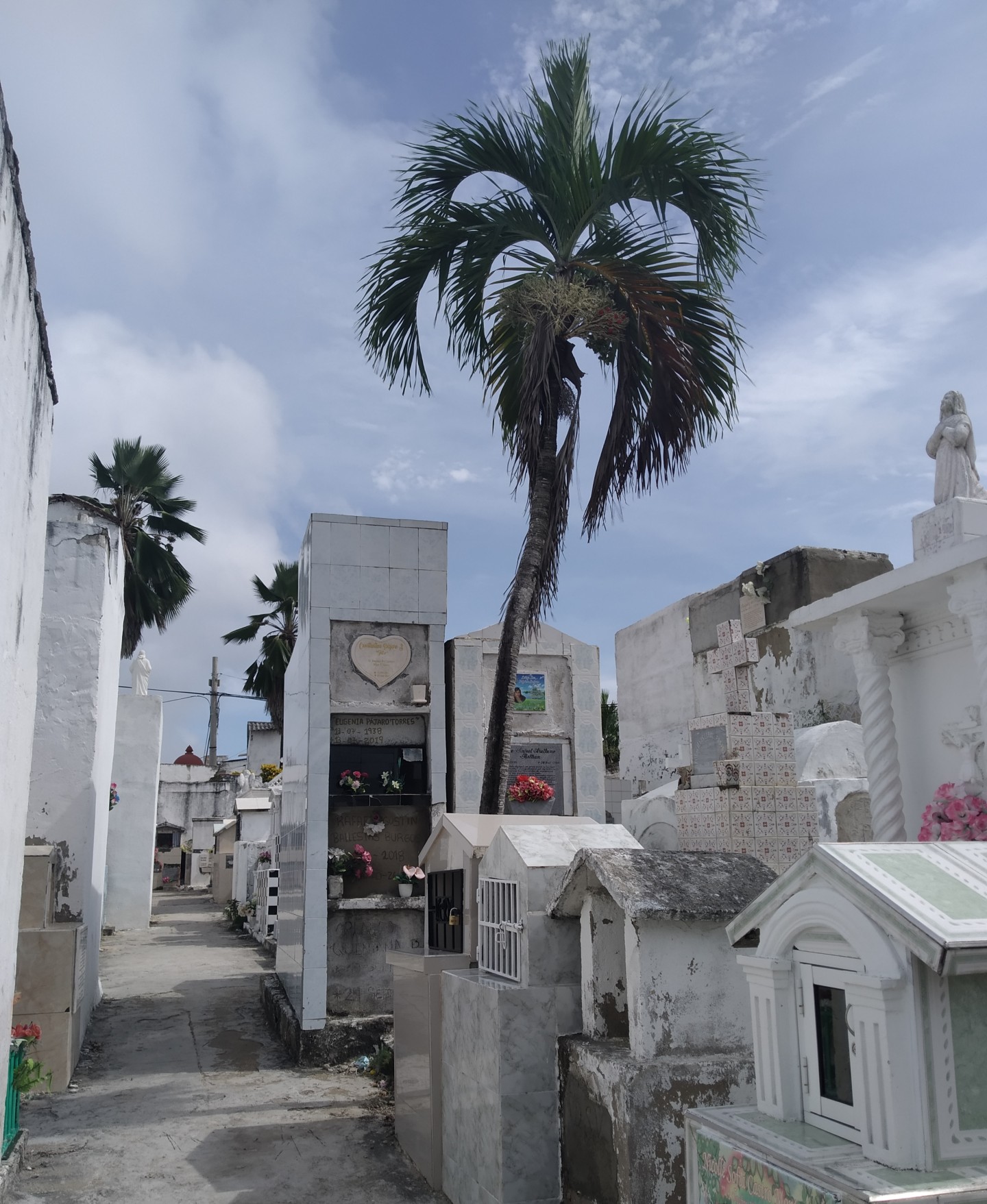 Bajo la palmera (Cuentos de sábado en la tarde)