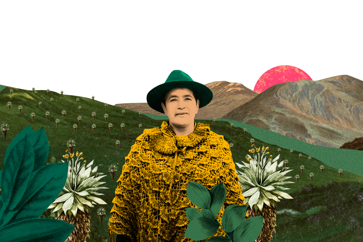 Las mujeres escribimos la historia