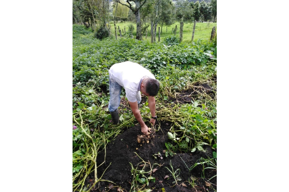 Todos los productos son cosechados por excombatientes de las Farc asentados en zona rural de Cundinamarca.