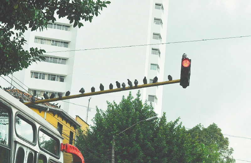 Bogotá tiene 1.348 intersecciones con semáforos. / Archivo - El Espectador