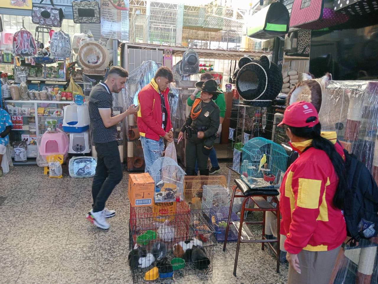 Encuentran animales muertos y un criadero de ratas en plaza de mercado Restrepo