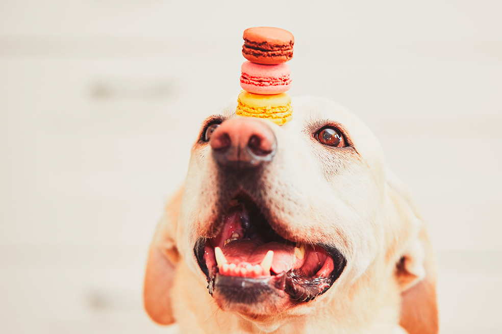 Foto: iStock.