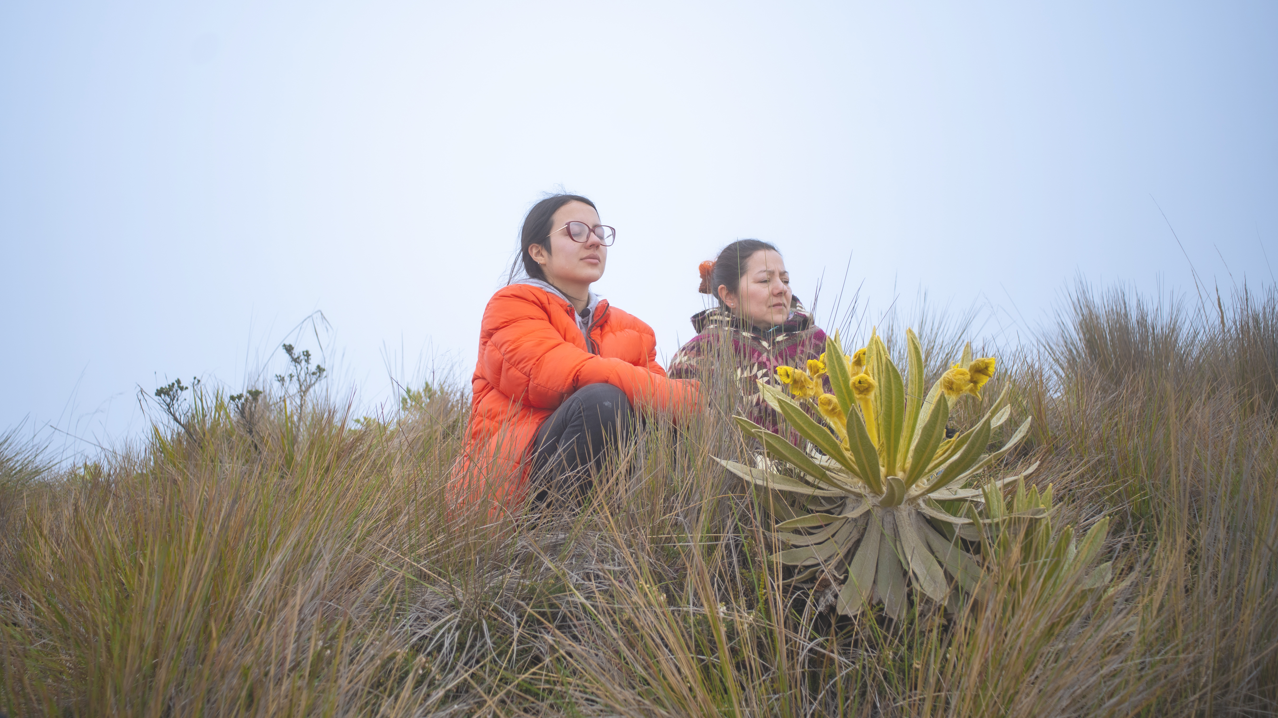 “Pirsas”, documental colombiano, competirá en el Festival de cine de San Sebastián