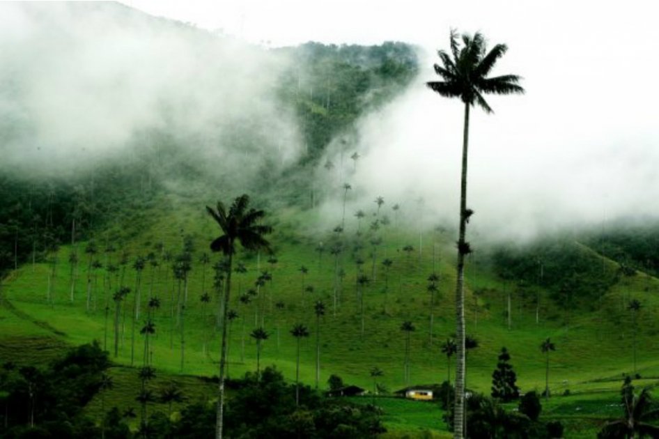 / Foto: Archivo