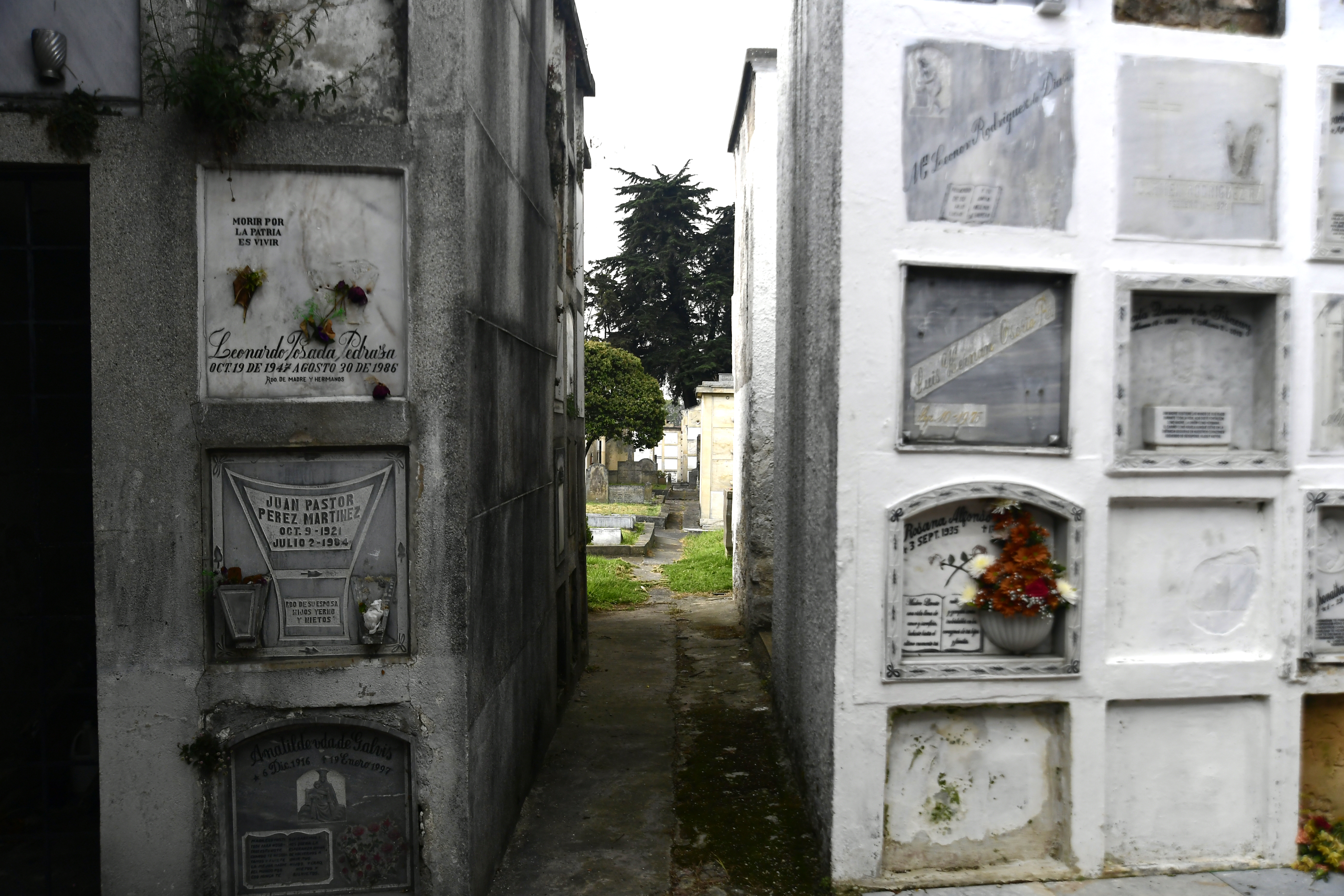 Distrito niega crisis en cementerios y dice que garantizará su funcionamiento