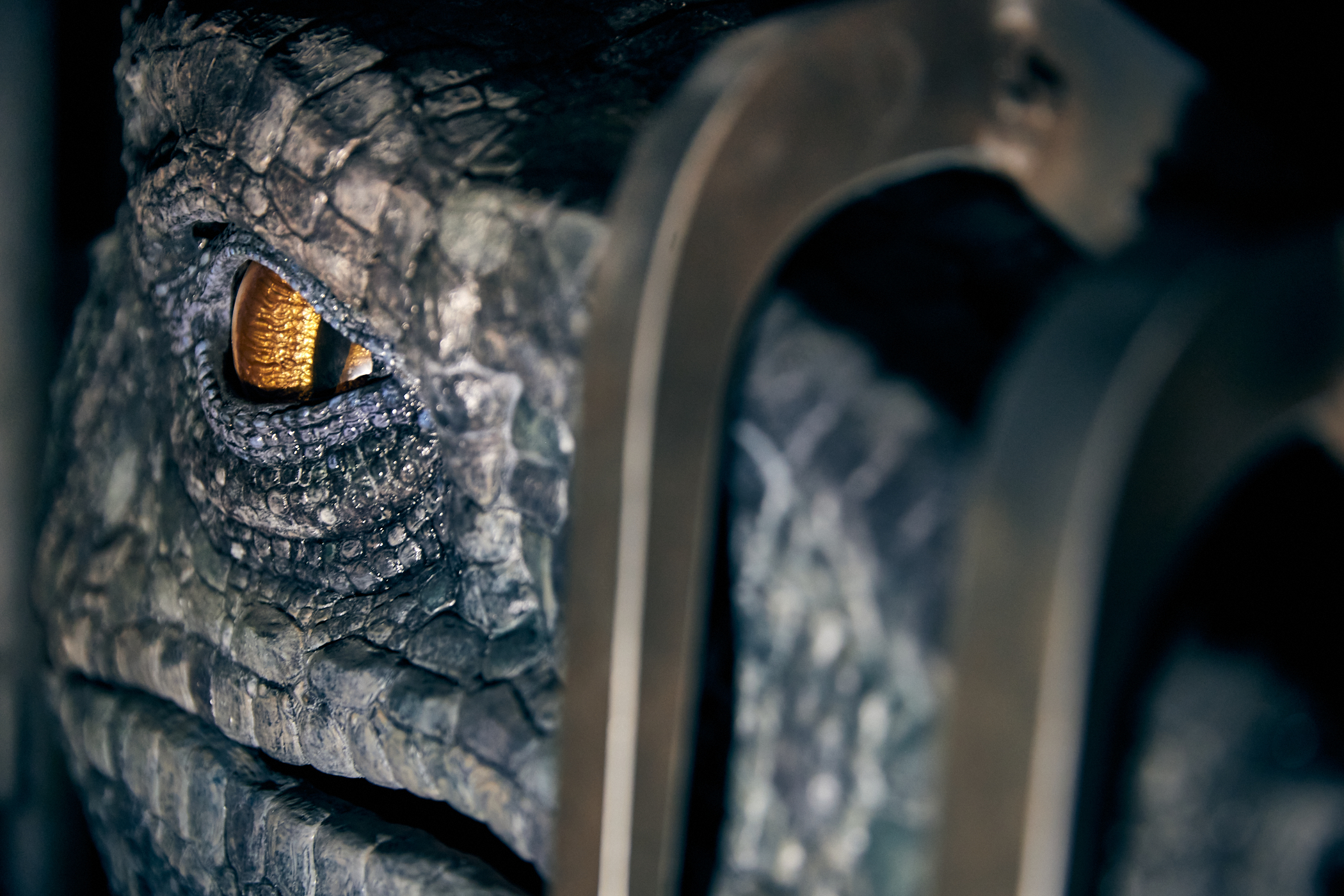 Universal Orlando Resort comparte detalles de los velociraptores de su montaña rusa más emocionante hasta ahora, Jurassic World VelociCoaster, antes del debut de la atracción el 10 de junio en Universal’s Islands of Adventure.