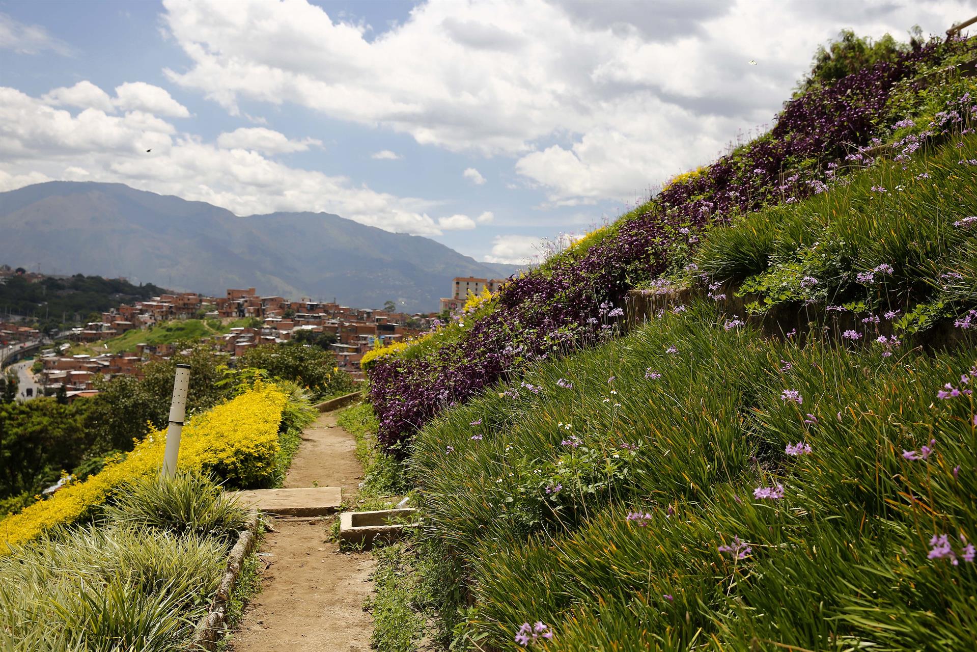 Moravia, el vibrante barrio de Medellín que transformó su basurero en jardín