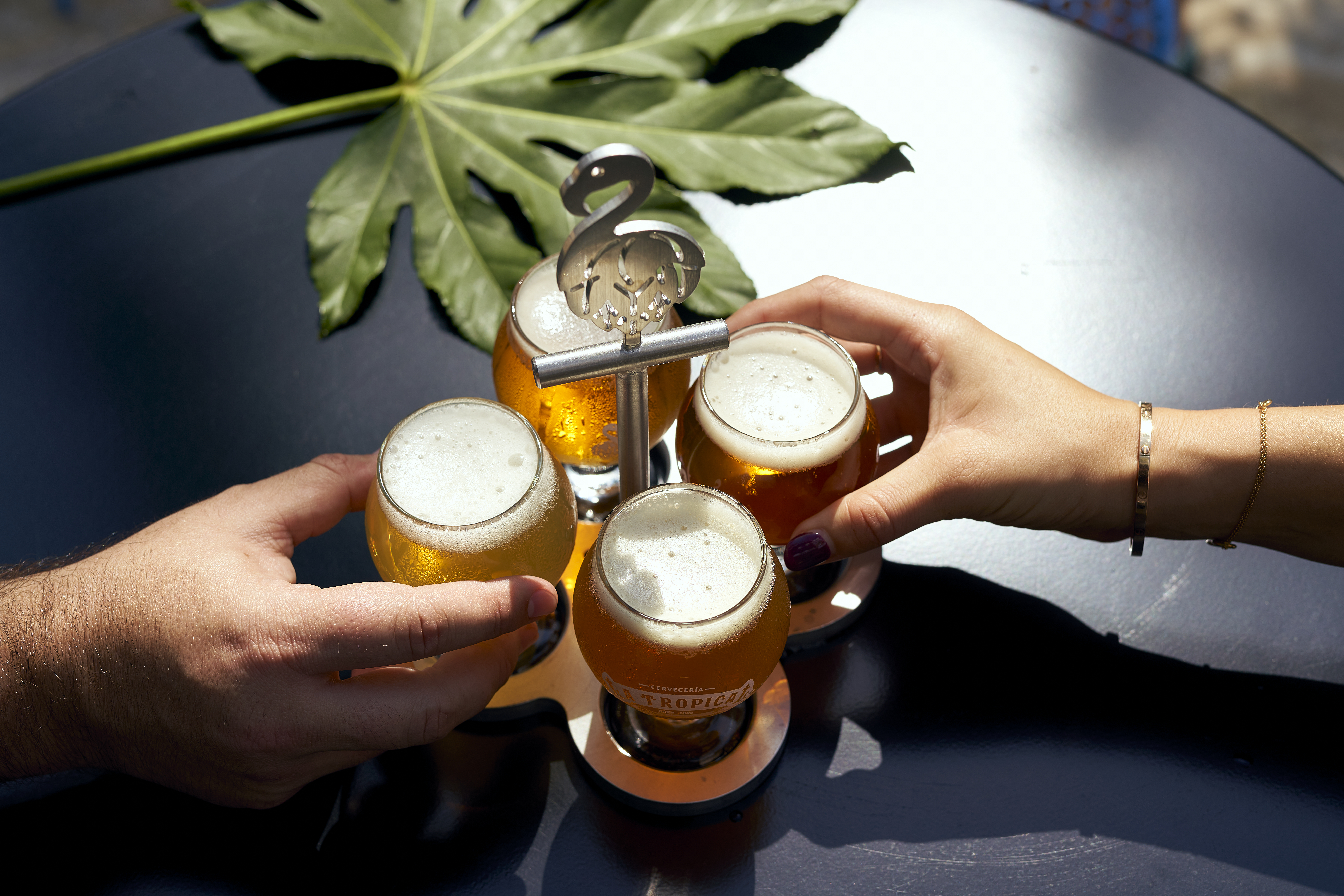 ¿Qué cantidad de cerveza se puede beber al día y qué causa en el cuerpo?