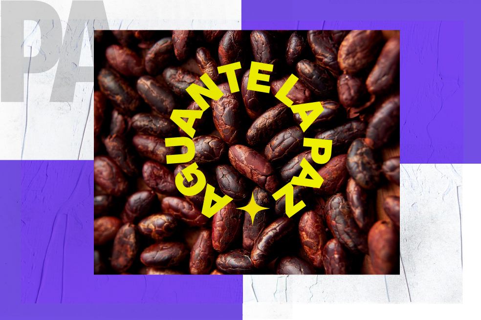 Cacao que sabe a paz | El Espectador
