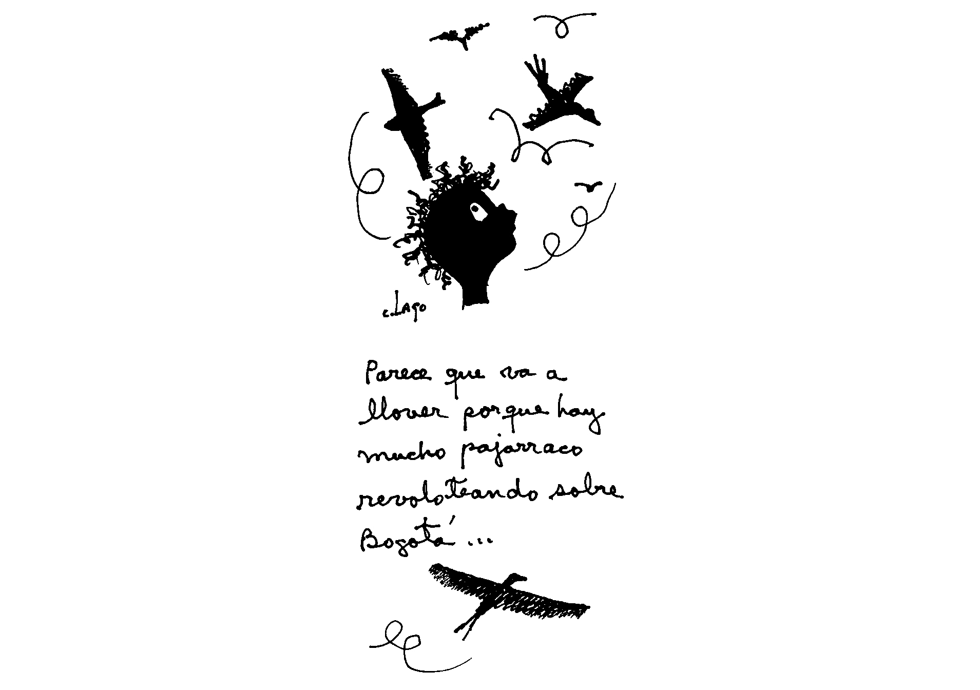 Nieves