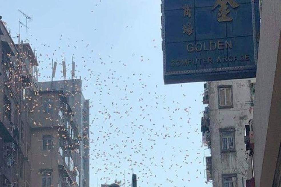 Quería ser «Robin Hood», pero fue detenido por lanzar dinero desde un edificio