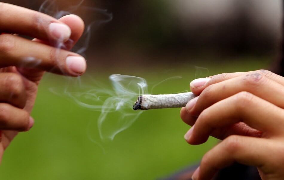 Cannabis de uso recreativo, la apuesta de 20 representantes a la Cámara