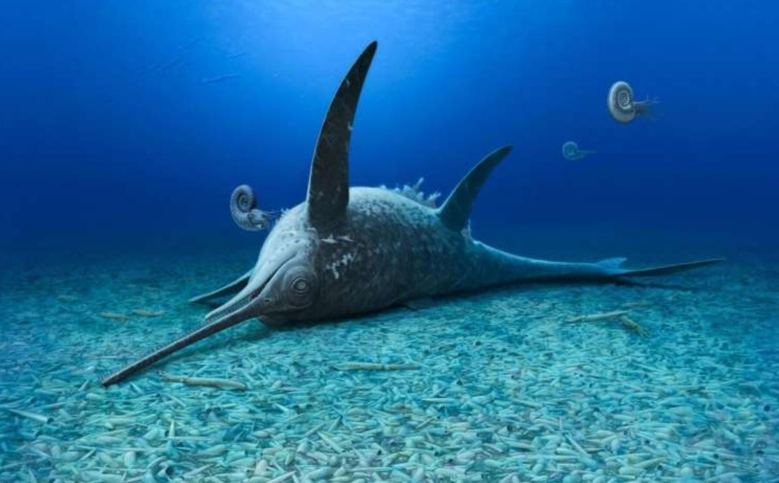 A partir de un fósil, hallan una nueva especie de reptil marino