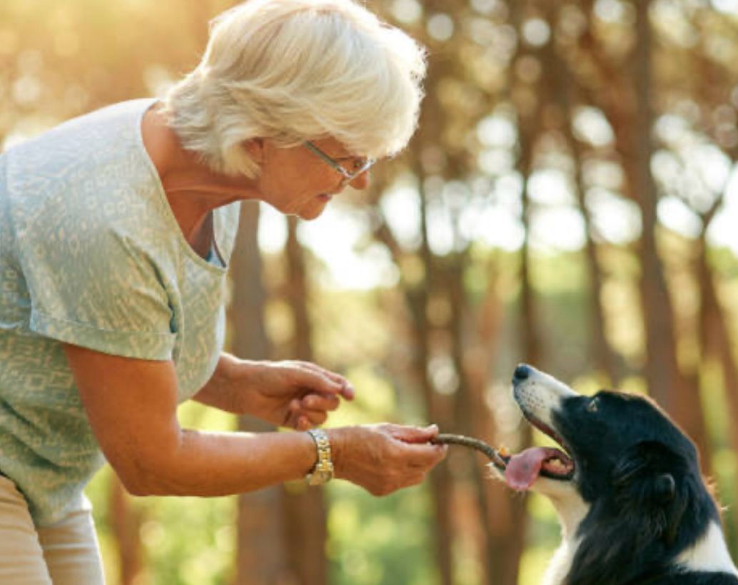 Diez beneficios de tener un perro en personas mayores