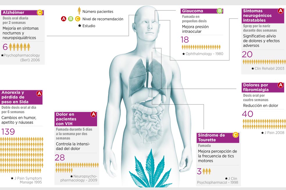 Marihuana medicinal, ¿para qué sirve?