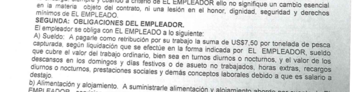 Cláusula que se encuentra en todos los contratos de los marineros de Seatech.