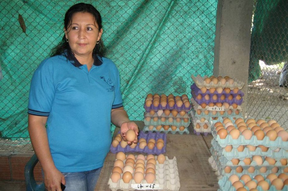 Tres gallinas y un corral son ejemplo de subsistencia, 300 gallinas y un galpón es emprendimiento comunitario