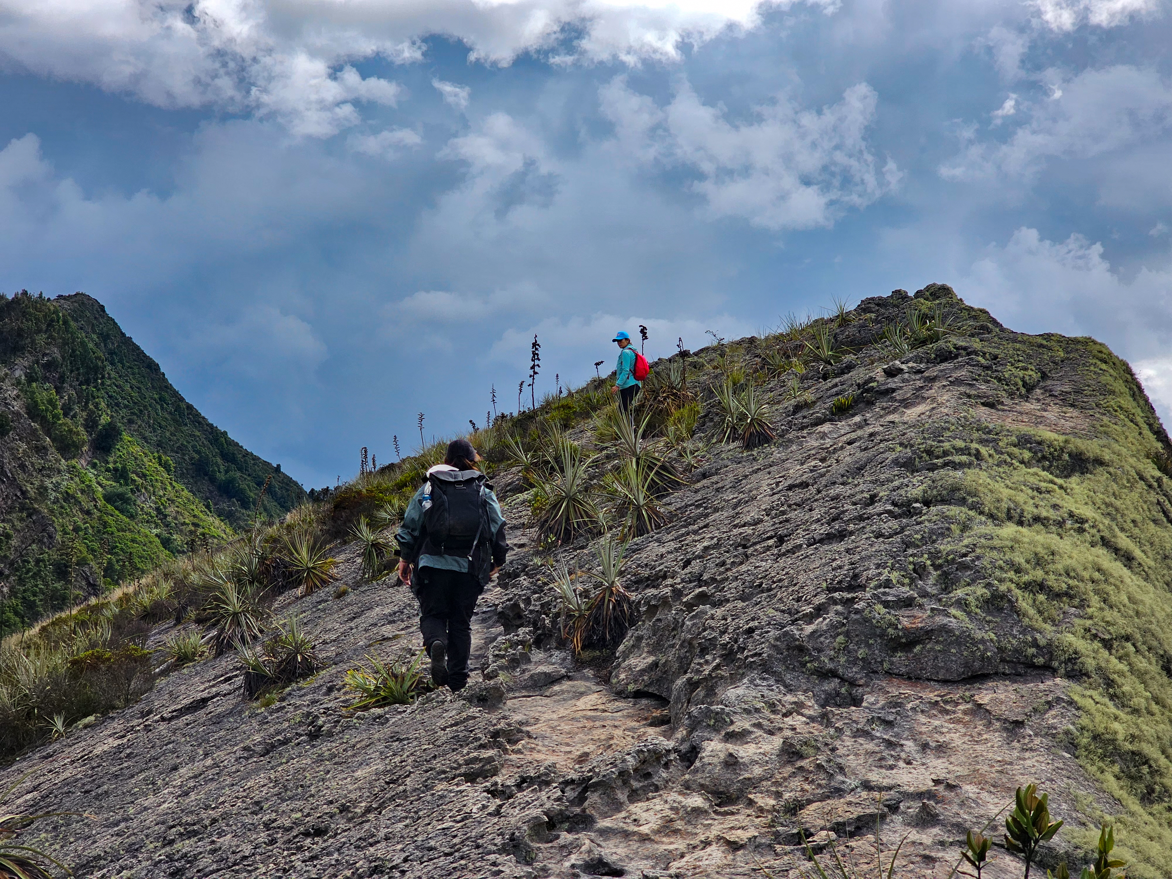Día del Montañista: rutas de senderismo imperdibles cerca de Bogotá
