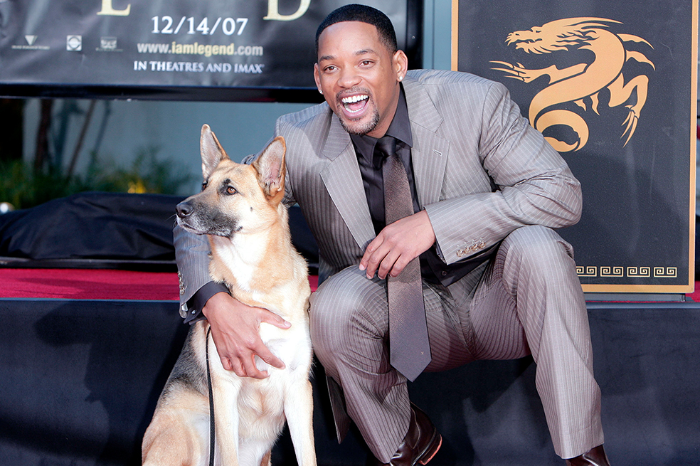 Will Smith y Abbey compartieron en ¿Soy Leyenda'. Después del rodaje, el actor deseaba adoptarla.