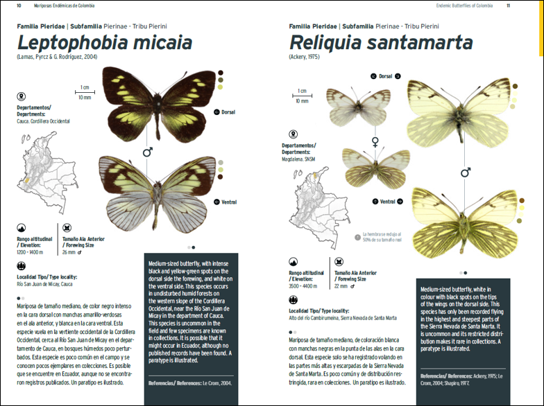 Así se ve una de las páginas del libro de Mariposas endémicas de Colombia.
