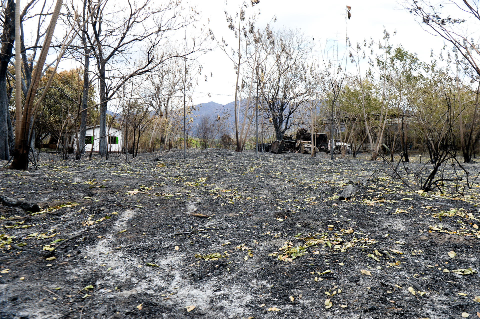 AME1616. COELLO (COLOMBIA), 23/08/2026.- Fotografía de una casa en un terreno rural afectada por uno de los incendios forestales, que ya han arrasado más de 20.000 hectáreas y continúan expandiéndose, este domingo, en Coello departamento del Tolima (Colombia). EFE/ Vannessa Jiménez
