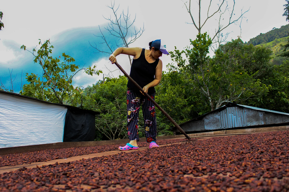 Doña Sandra en uno de sus lugares favoritos. Esparcir el cacao en la elba es uno de los oficios más realizados por las mujeres de las fincas.